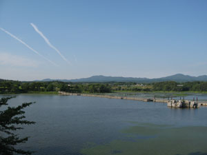 b0111551_1011478.jpg