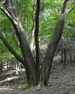e0035757_23353256.jpg