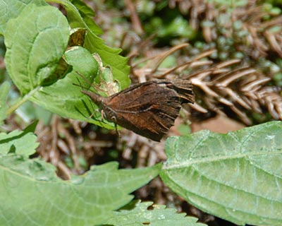e0035757_23362726.jpg
