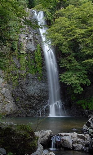 e0035757_2336588.jpg