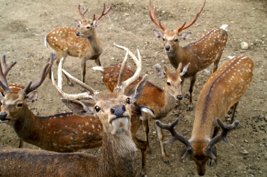 f0093180_0453365.jpg