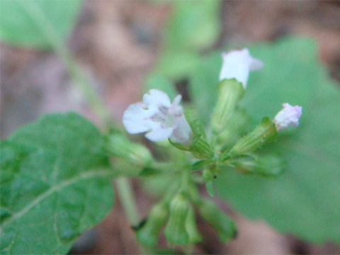 f0146493_941961.jpg