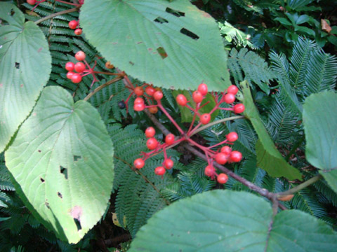 f0146493_961291.jpg