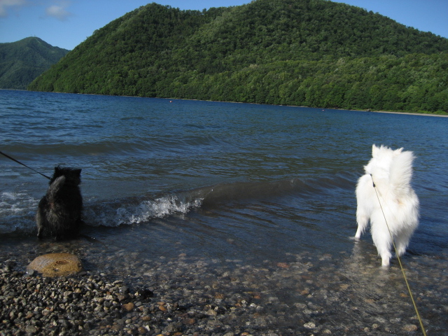 お参り＆支笏湖で水遊び_d0009101_18424990.jpg