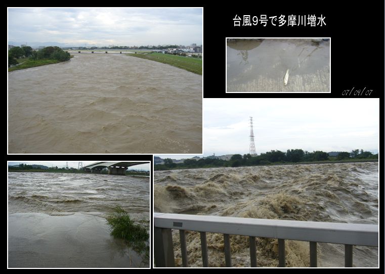 孫2ヵ月半　、　台風９号_c0051105_044691.jpg