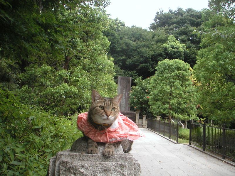 e0031605_2210731.jpg