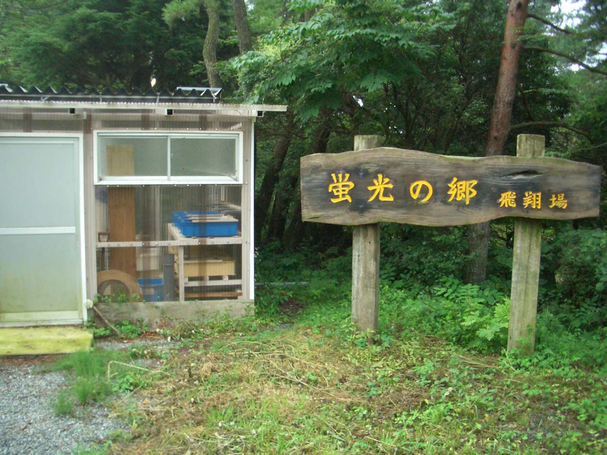 井之頭中のホタル_f0141310_0341289.jpg