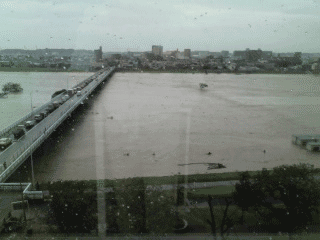 e0080117_8521867.gif