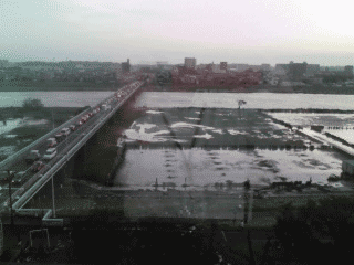 e0080117_8531514.gif