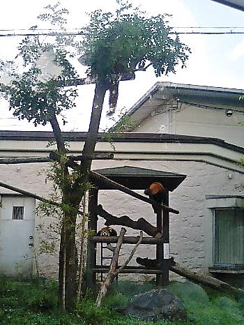 d0072521_23345289.jpg