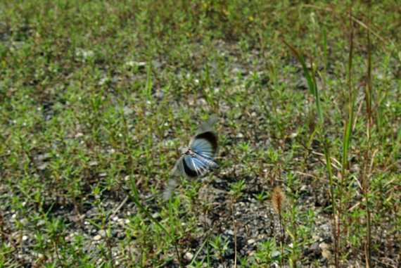 d0090322_237737.jpg