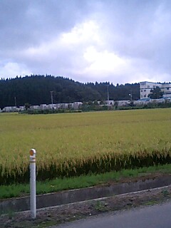 秋田から東京へ。_f0056929_1959267.jpg