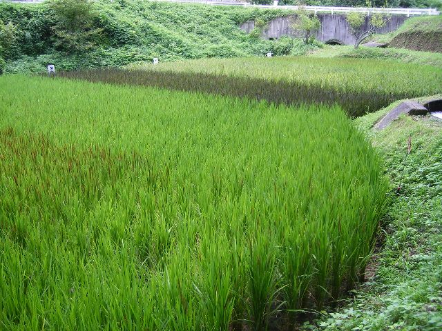 f0000330_2214962.jpg