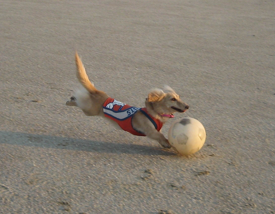 ０７年９月８日　グランドでサッカー♪_c0117831_20294164.jpg