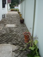 d0106737_6212967.jpg