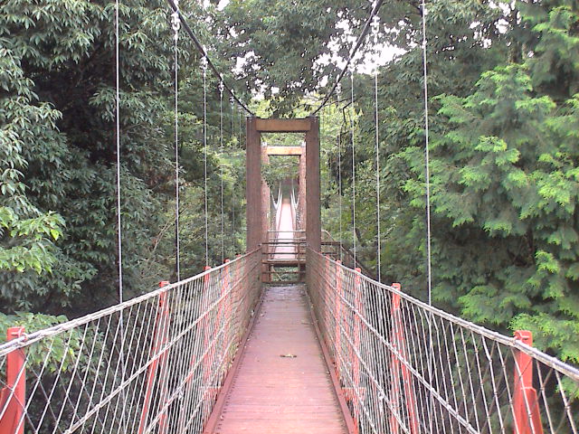 散歩。_e0060555_1762415.jpg