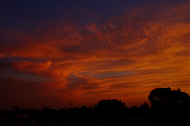 ベランダからの夕景_f0119863_12222.jpg