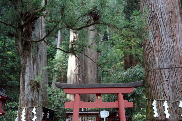 二荒山神社５_b0021570_1655369.jpg