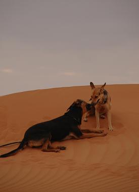 e0066474_1630132.jpg