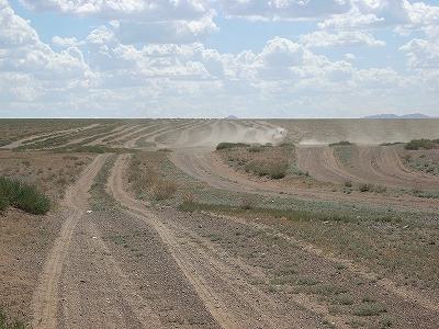 f0064278_651359.jpg