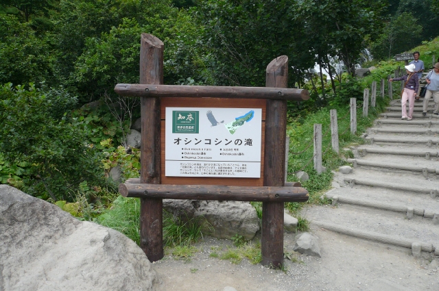 f0097683_1025457.jpg