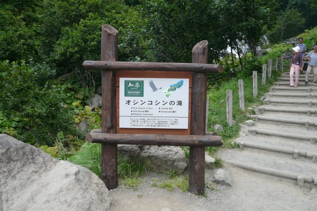 北海道ﾂｰﾘﾝｸﾞ4日目　part3　世界遺産編_f0097683_1025457.jpg