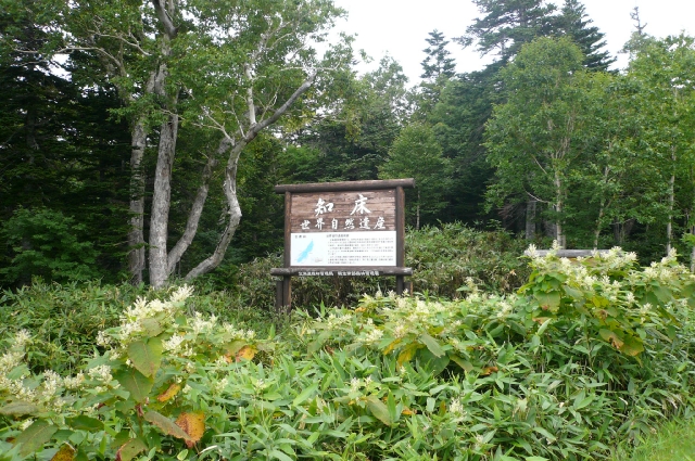 北海道ﾂｰﾘﾝｸﾞ4日目　part3　世界遺産編_f0097683_10261086.jpg