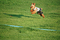c0130389_175053.jpg