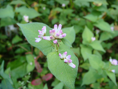 f0146493_10591764.jpg