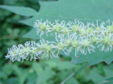 f0146493_1101457.jpg