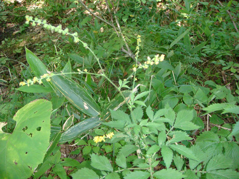 f0146493_110471.jpg