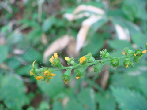 f0146493_111762.jpg