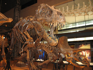e0125894_1956376.jpg