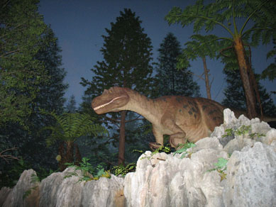 e0125894_2024250.jpg