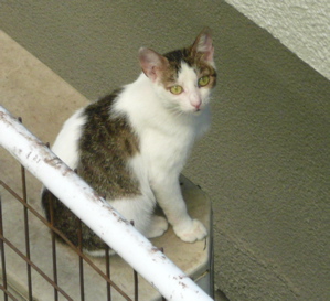 f0146198_0242775.jpg