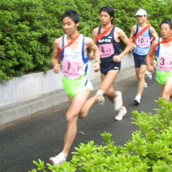 b0108100_1351995.gif