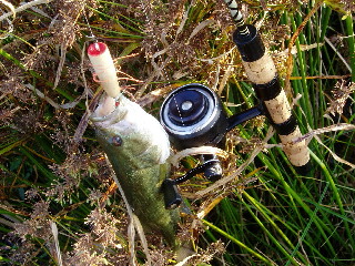 c0023804_13593382.jpg