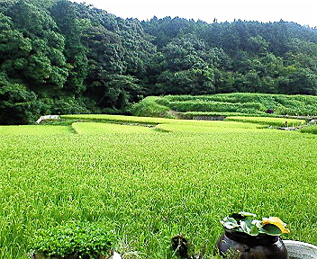 e0001406_215311.jpg