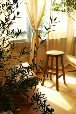 蜂谷隆之漆器展初日@Style-Hug Gallery_d0023111_2011237.gif