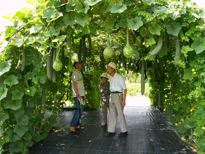 国営備北丘陵公園（庄原市）_c0116915_2323172.jpg