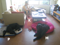 c0012120_12285422.jpg