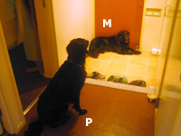 c0012120_12335952.jpg