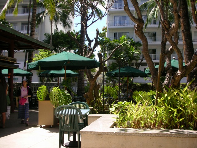 c0110124_0273266.jpg