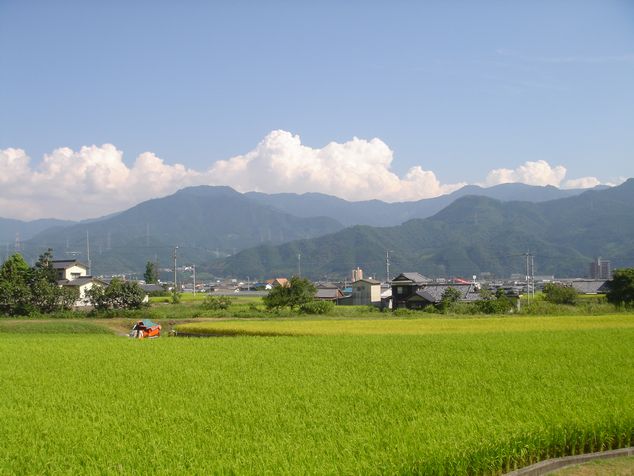 田舎の夏 My Happiness みぃみとりょうクン あのねのね