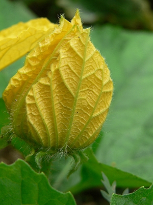 f0029038_23281814.jpg