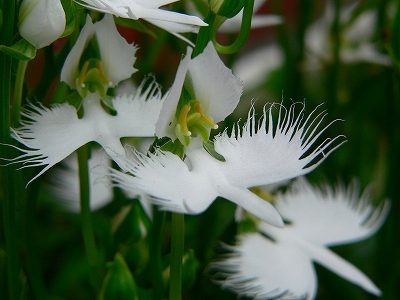 f0029038_23321488.jpg