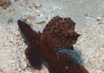 d0065247_2382396.jpg