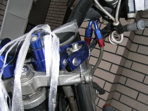b0034848_23202941.jpg