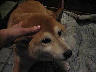 男たちは東へ、そして私は、、、_c0049950_22335156.jpg