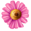 e0028056_8345227.gif
